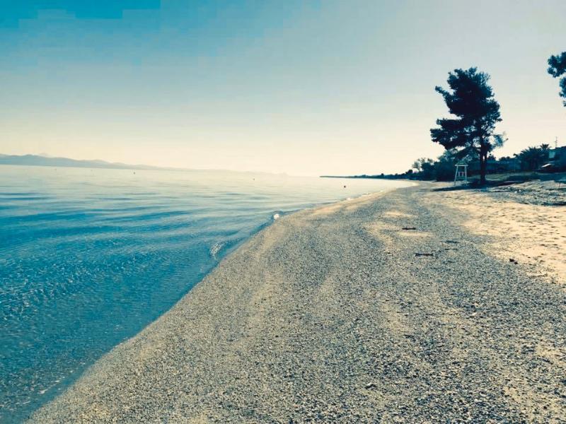 Villas Chaniotis Dış mekan fotoğraf